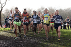 Senior men and under-23 mens 2017 British Athletics Liverpool Cross Challenge, Sefton Park, Liverpool. Photo:  David T. Hewitson/Sports for All Pics